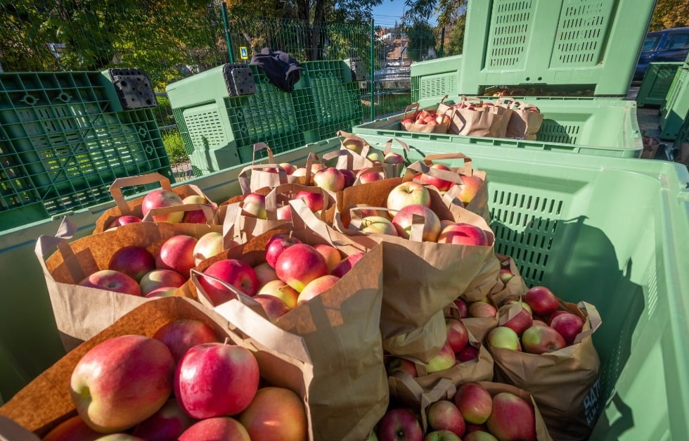 Rengeteg alma és almalé fogyott az önkormányzati vásáron