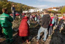Közösségi takarítás a Szalamandra-völgyben