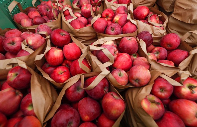 Tizenhat tonna alma fogyott el a vásáron