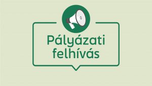 palyazati_felhivas