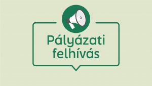 Pályázati felhívás